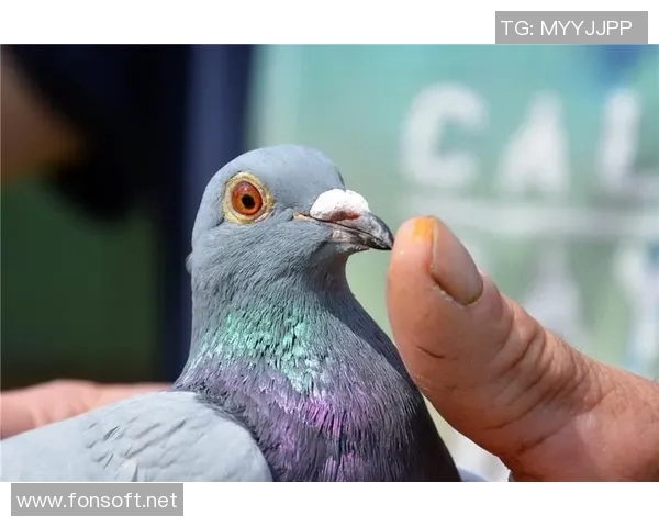 秘鲁与丹麦激战正酣赛事结果揭晓引发热议