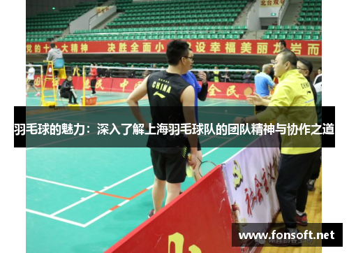 羽毛球的魅力：深入了解上海羽毛球队的团队精神与协作之道
