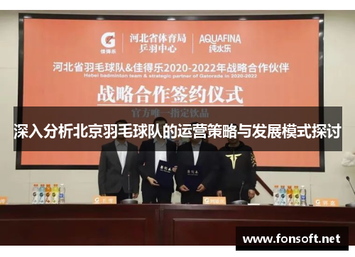深入分析北京羽毛球队的运营策略与发展模式探讨